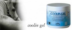 Clicca per ingrandire COOLIN-GEL VEREDUS - rinfrescante