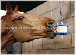 Clicca per ingrandire Likit Sport Equine Elettroliti