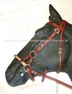 Clicca per ingrandire Testiera senza morso Bitless Bridle